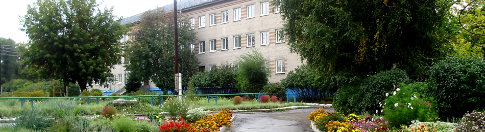 Барнаульский государственный педагогический колледж фото