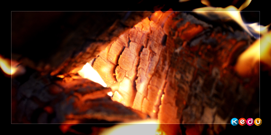 Обязанности выжигальщика древесного угля