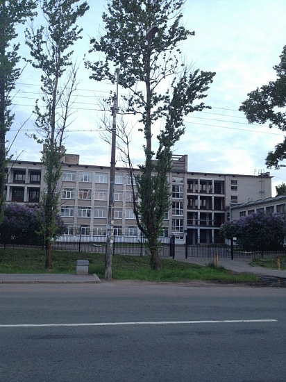 Школа № 413 Петродворцового района Санкт-Петербурга фото