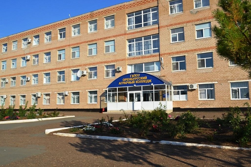 Оренбургский аграрный колледж фото